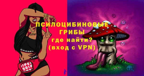 мяу мяу мука Алзамай