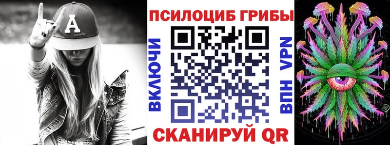 hydra вход  Изобильный  Псилоцибиновые грибы Psilocybe 
